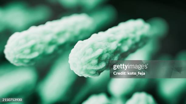 abs lactobacillus bulgaricus bakterien - sepsis stock-fotos und bilder