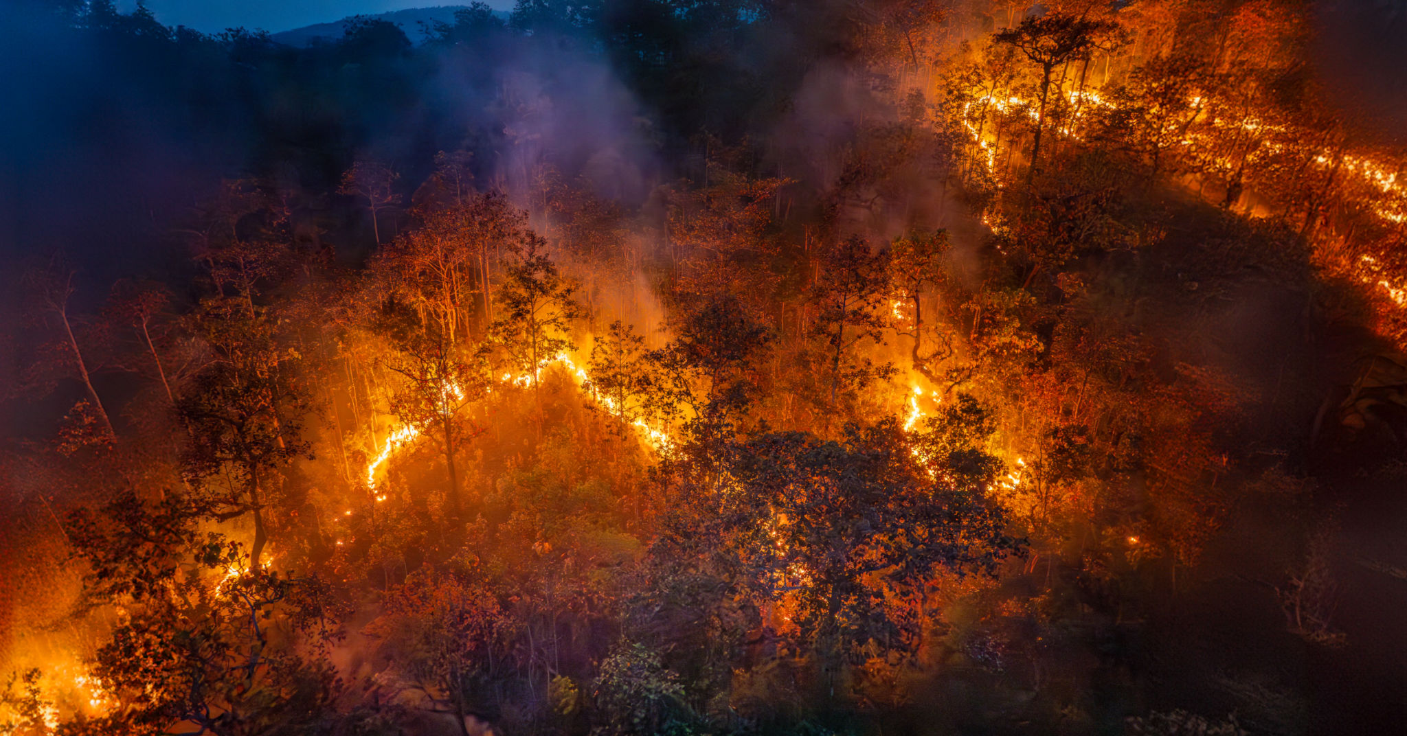 fire restoration