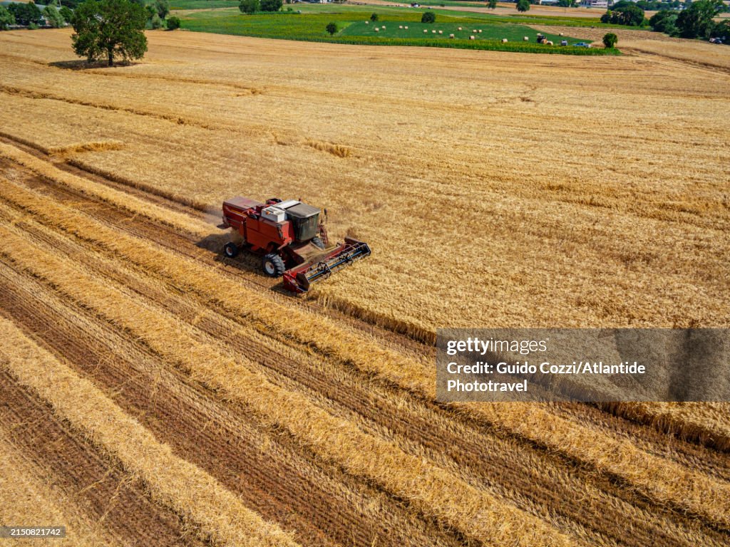 Tuscany, grain harvest