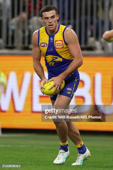AFL Rd 8 - West Coast v Essendon AFL Rd 8 - West Coast v Essendon