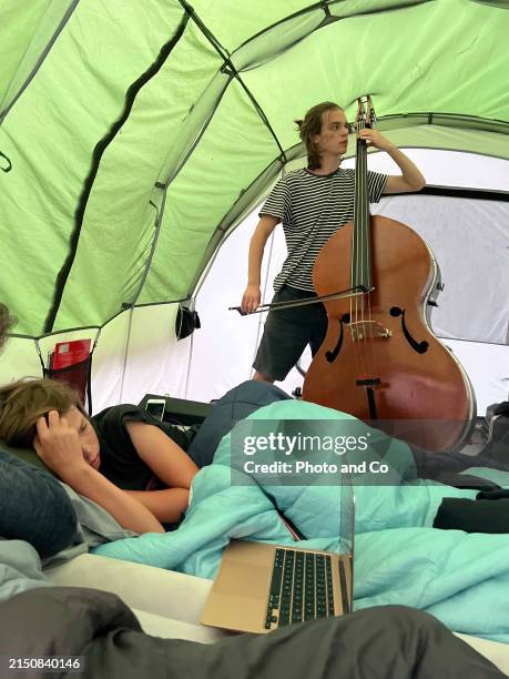 a young adult plays the double bass - double bass stock pictures, royalty-free photos & images