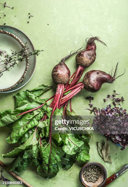 raw organic beetroot bunch with greens on table with ingredients - beterraba tubérculo imagens e fotografias de stock