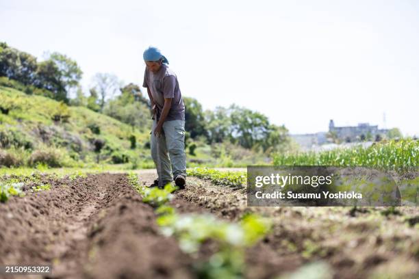 a farmer working on an organic farm. - picture of a hoe stock pictures, royalty-free photos & images