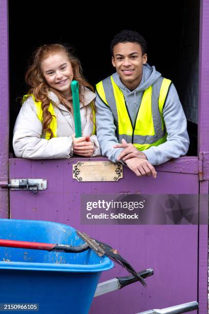 teens volunteering in the stables - mucking out stables stock pictures, royalty-free photos & images