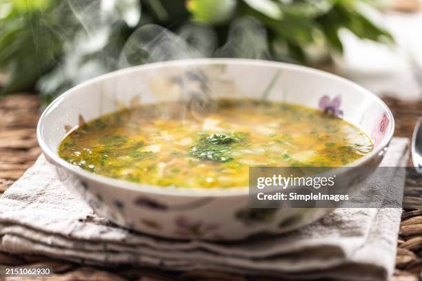 healthy spring vegetable soup, cooked from carrots, parsley, kohlrabi and spring onion, added chopped parsley. - scodella per zuppa foto e immagini stock