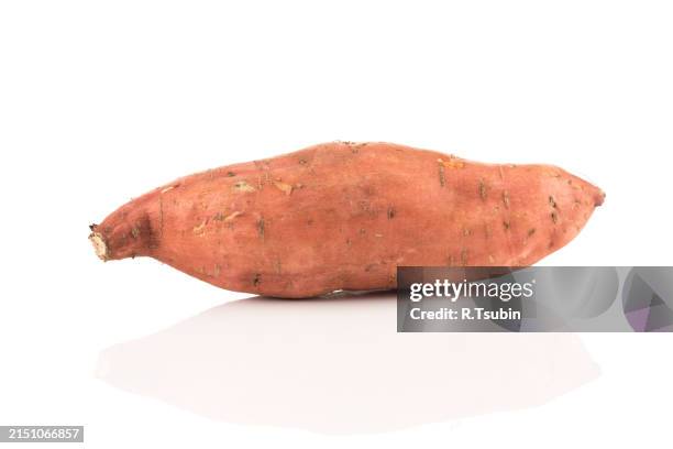 sweet potato batata on the white background isolated - yam plant stock pictures, royalty-free photos & images