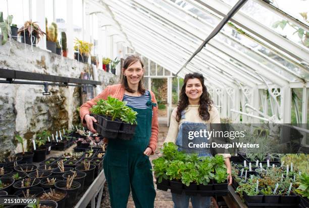 growing plants - sustainable business stock pictures, royalty-free photos & images