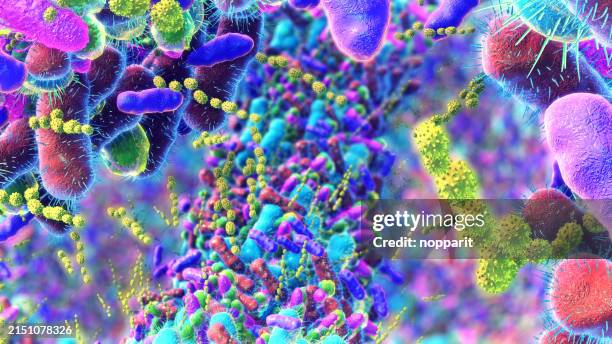 batteri nell'intestino umano. - microbiota umano foto e immagini stock