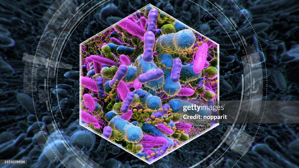 Bacteria in Human Intestine.