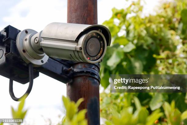 surveillance and traffic control camera. - flitspaal stockfoto's en -beelden