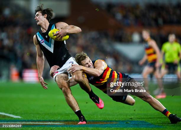 Connor Rozee Crows Connor Rozee Photos and Premium High Res Pictures - Getty Images