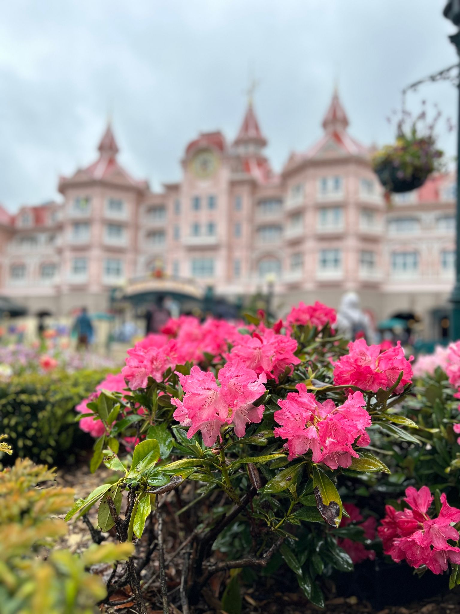 disneyland castle