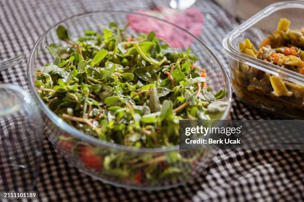 ensalada de verdolagas. - ensalada verde fotografías e imágenes de stock