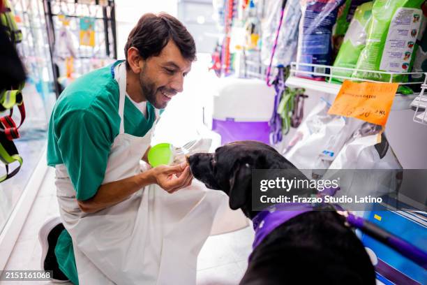 mid adult veterinarian talking and petting a dog at pet shop - pet shop stock pictures, royalty-free photos & images