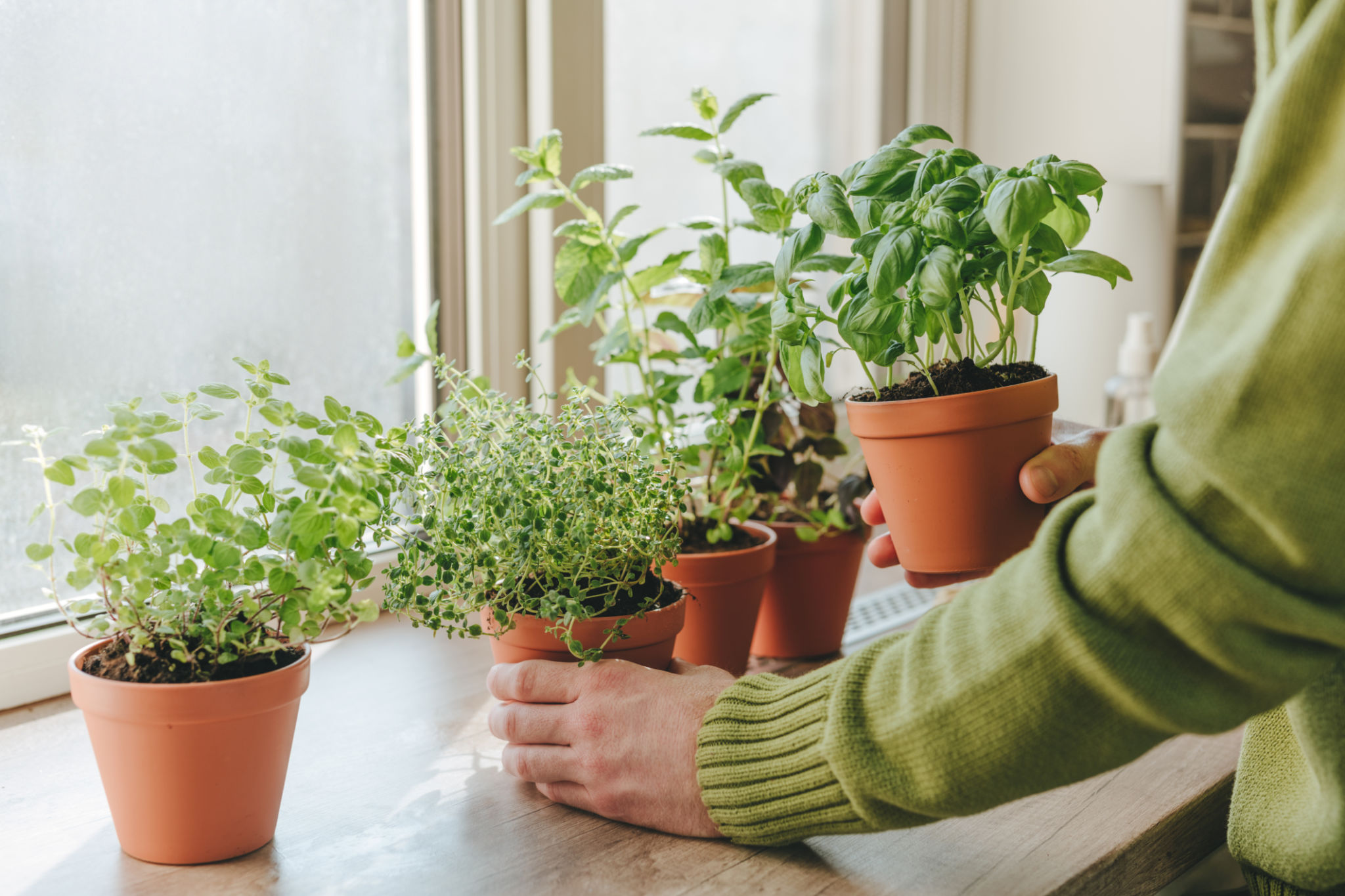 herbal tools