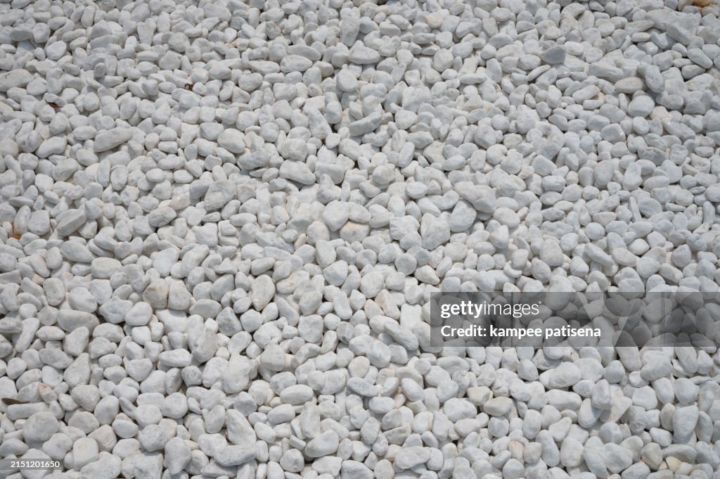 Small Rocks In Field A White Gravel Field With Many Small Rocks Background High-Res Stock ...