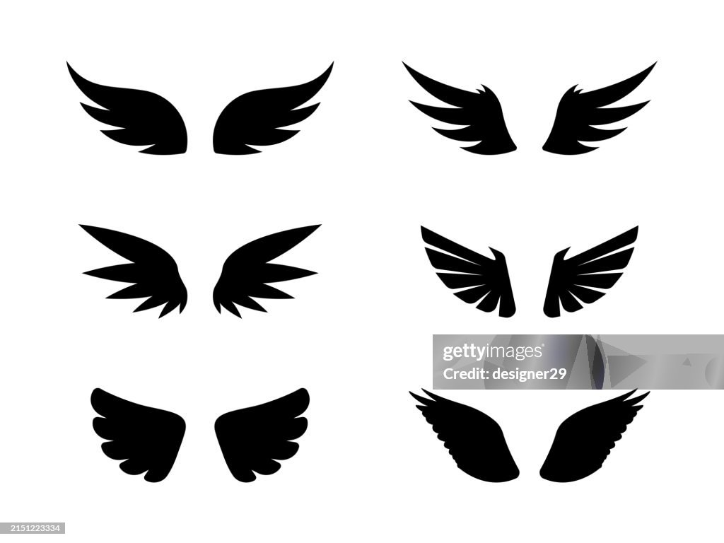 Wings Icons Set Vector Design on White Background.