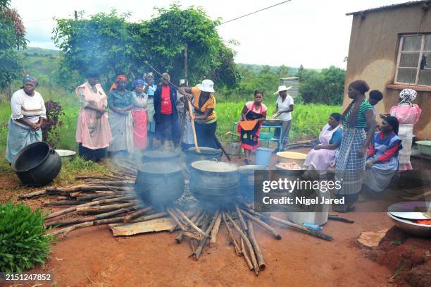 Cook Negale 1,381 Nigel Cook Stock Photos, High-Res Pictures, and Images - Getty Images