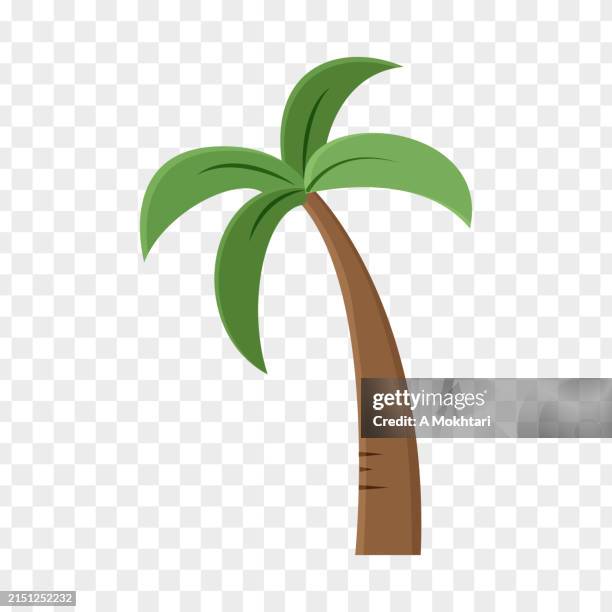 palm tree icon on transparent background. - cartoon palm tree stock illustrations