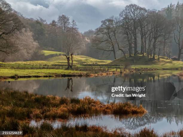 Ian Rios 4.684 Ian Rios Stock Photos, High-Res Pictures, and Images - Getty Images