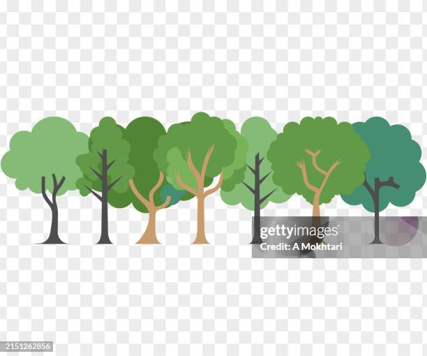 forest and tree on transparent background. - spring clear out stock illustrations