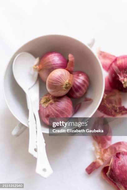 lorient shallots - shallot stock pictures, royalty-free photos & images