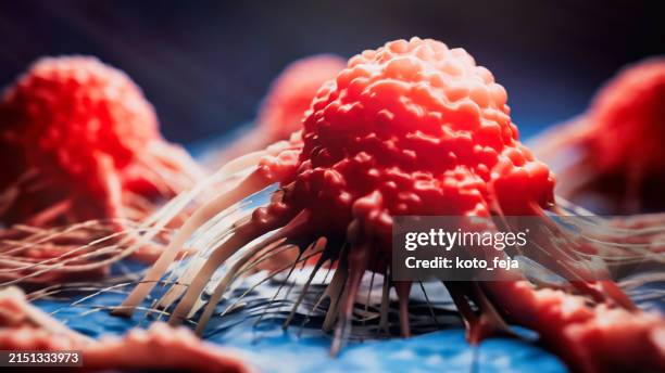 cancer cell view - electron microscope stock pictures, royalty-free photos & images