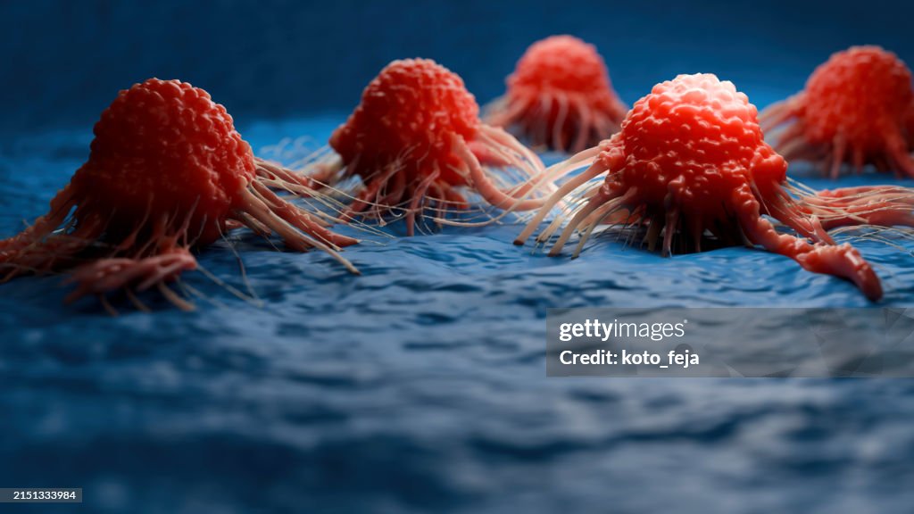 Cancer cell view