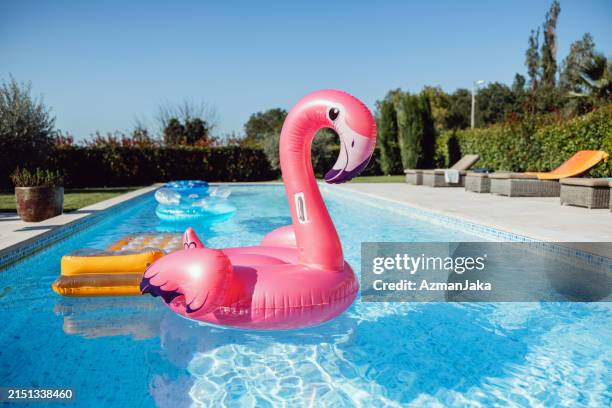 various pool floats floating in an empty pool - plastic garden chair fotografías e imágenes de stock