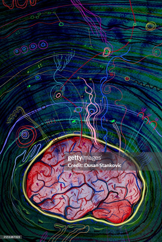 Brain activity at night