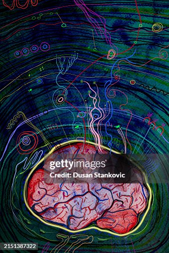 Brain activity at night Brain activity at night