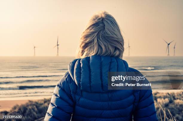 looking at offshore wind turbines - marram grass stock pictures, royalty-free photos & images