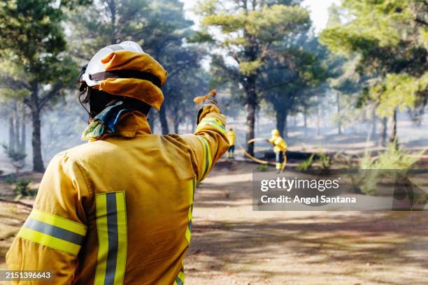 firefighter directing team in post-fire operations - trabajador de rescate fotografías e imágenes de stock
