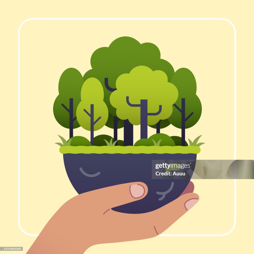 Mão humana segurando cuidadosamente as plantas