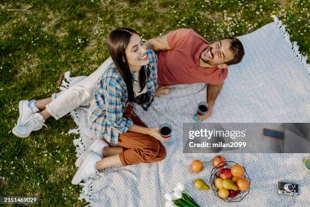 picnic time - picknick stockfoto's en -beelden