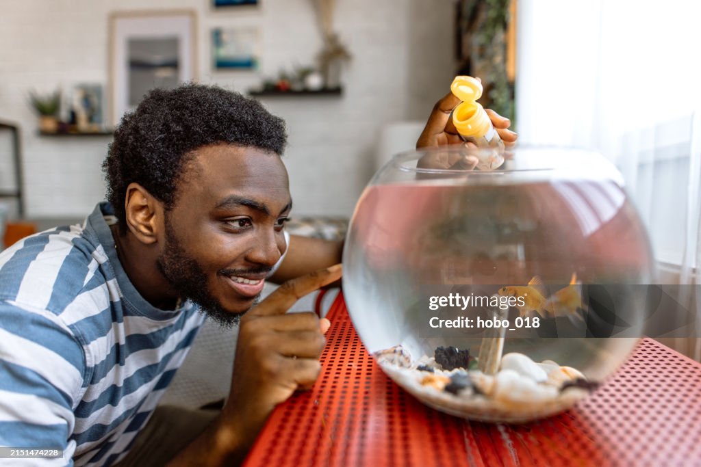 Young man feeding gold fishes at home