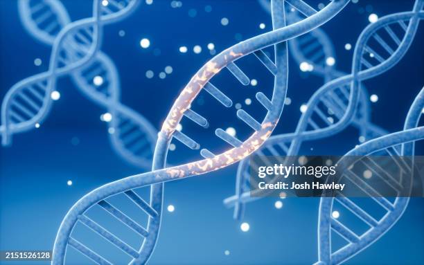 science biotechnology dna chromosome, 3d rendering - celdeling stockfoto's en -beelden