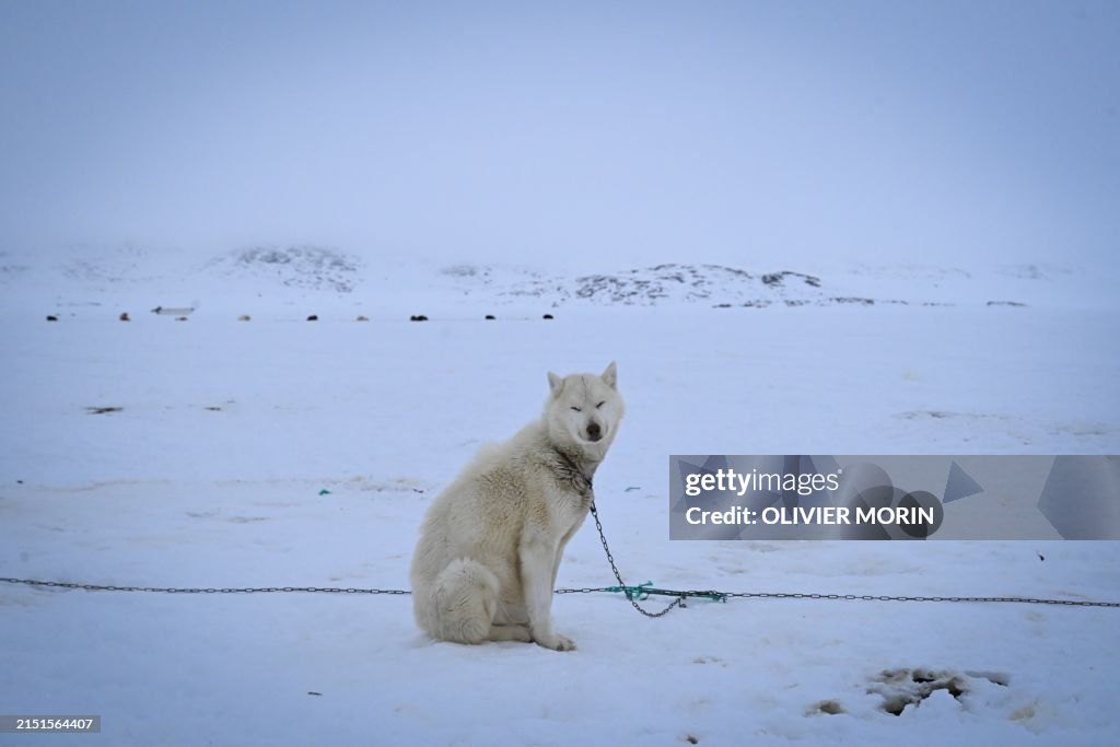 GREENLAND-ANIMAL-HUNTING-INUIT
