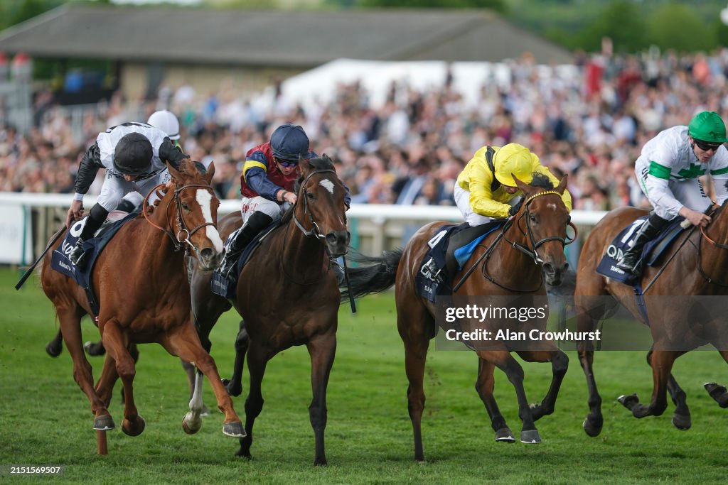 Newmarket Races