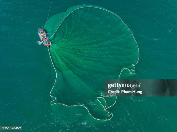 netting anchovies - commercieel visnet stockfoto's en -beelden