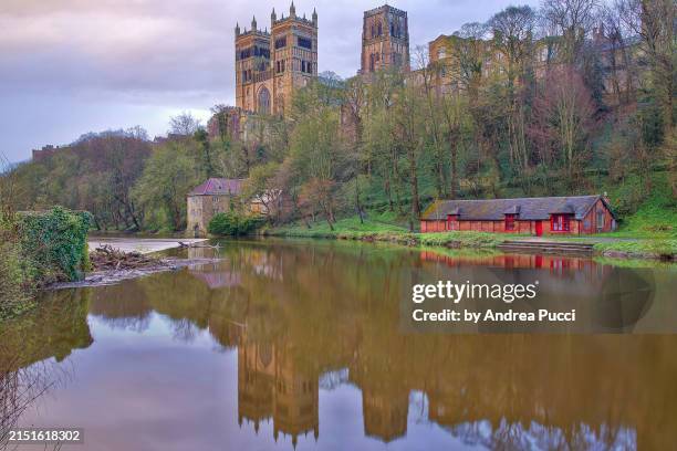 durham, county durham, united kingdom - edward-lambton-7th-earl-of-durham stockfoto's en -beelden