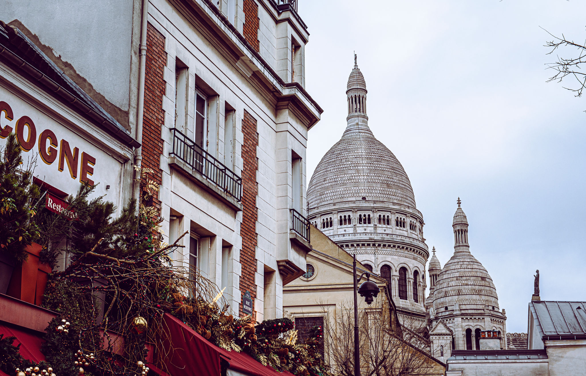 paris film festival