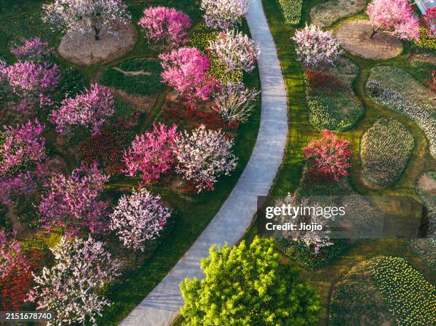 road in the park - garden path stock pictures, royalty-free photos & images