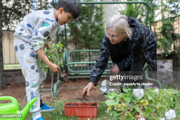 abuela y nieto preparando flores en el jardín de la casa - sembrar fotografías e imágenes de stock