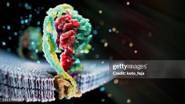 proteína atp sintasa - aminoácido fotografías e imágenes de stock