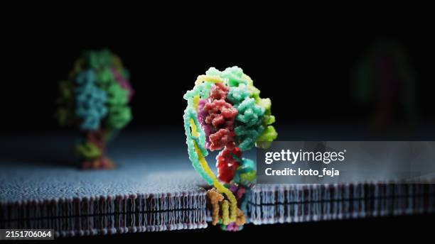proteína atp sintasa - aminoácido fotografías e imágenes de stock