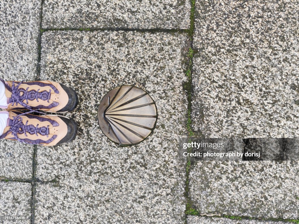 Camino de Santiago shell symbol on old stone road