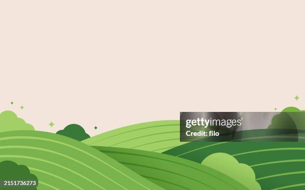 ilustrações de stock, clip art, desenhos animados e ícones de agriculture farm fields aerial view background pattern - quinta feira