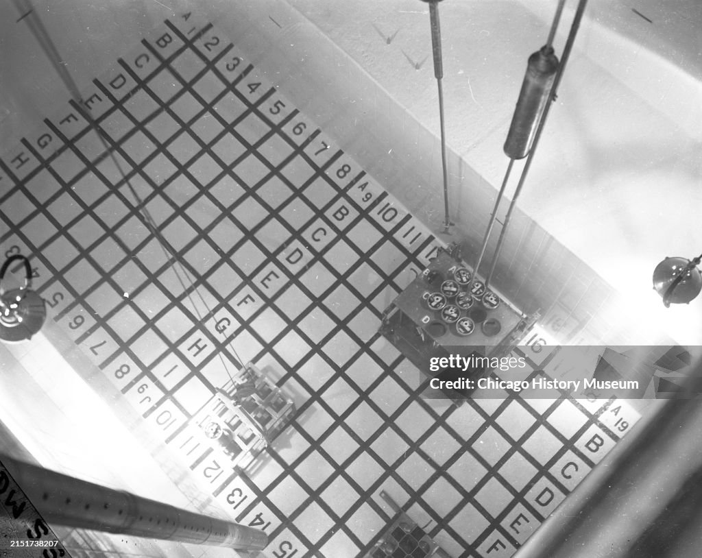 Irradiation Experiment At The Argonne National Laboratory