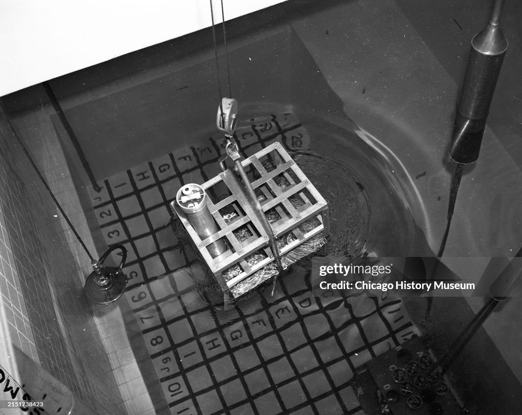 Irradiation Experiment At The Argonne National Laboratory